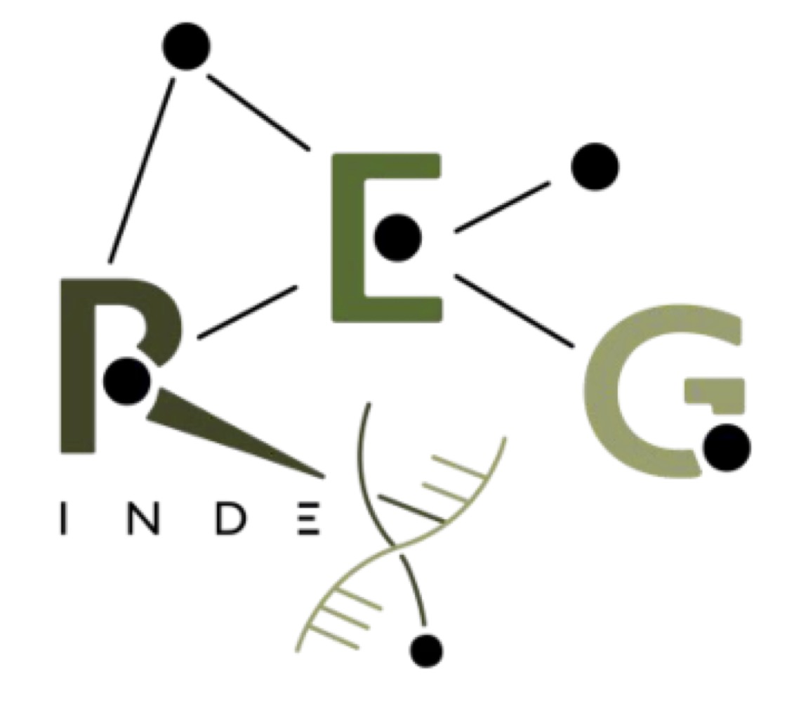 REGINDEX